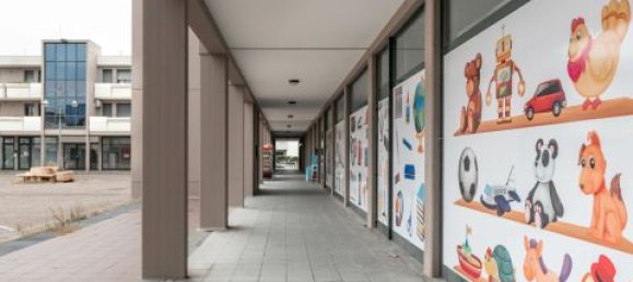 3-Zimmer Gewerbliche Immobilie in Campagna Lupia, Italy, Nr. 221047 2