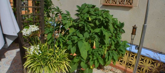 Villa de 4 dormitorios en La Florida, Spain No. 7546 25