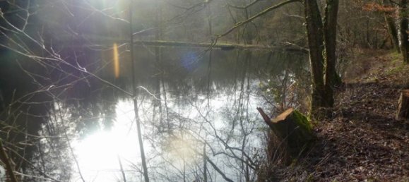 Terreno em Sigmaringen, Germany N.º 72896 2