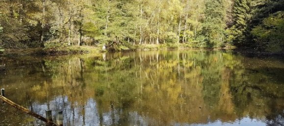 Terreno em Sigmaringen, Germany N.º 72896 4