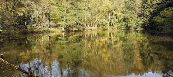 Terreno em Sigmaringen, Germany N.º 72896 5