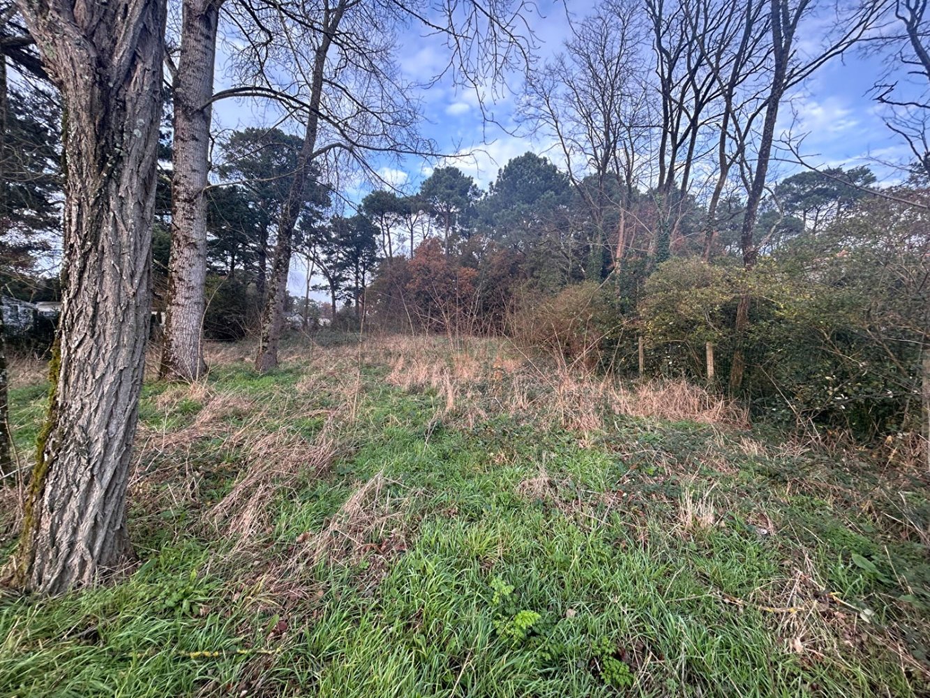 2863m² Land in Saint-Hilaire-de-Riez, France No. 111927