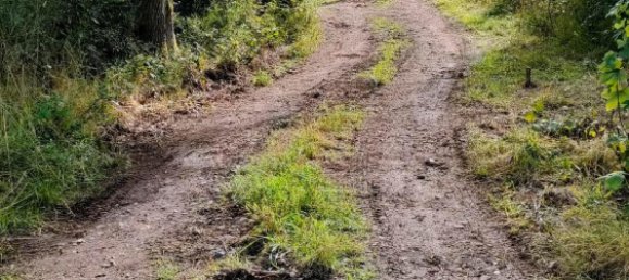 3 chambres Maison de ville à Sankt Wendel, Germany No. 219366 11