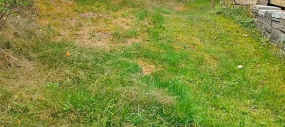 3 chambres Maison de ville à Sankt Wendel, Germany No. 219366 10