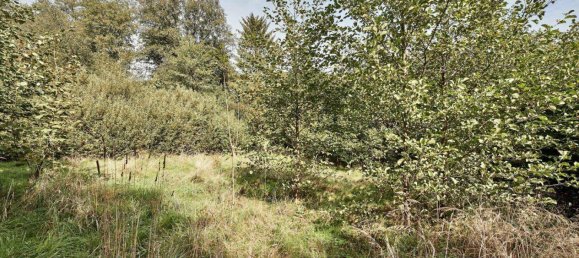 9018m² Land in Pressbaum, Austria No. 238450 7