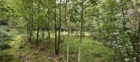 9018m² Land in Pressbaum, Austria No. 238450 10