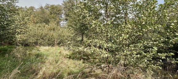 9018m² Land in Pressbaum, Austria No. 238450 14