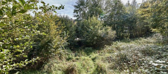 9018m² Land in Pressbaum, Austria No. 238450 3