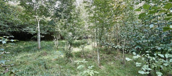 9018m² Land in Pressbaum, Austria No. 238450 11