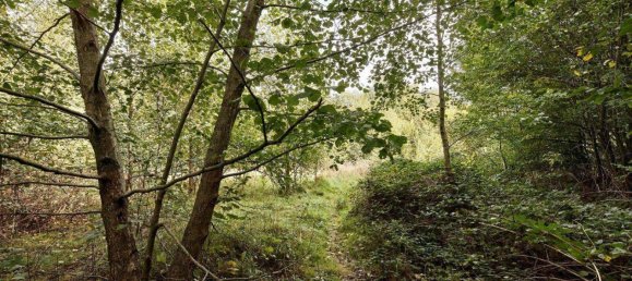 9018m² Land in Pressbaum, Austria No. 238450 6