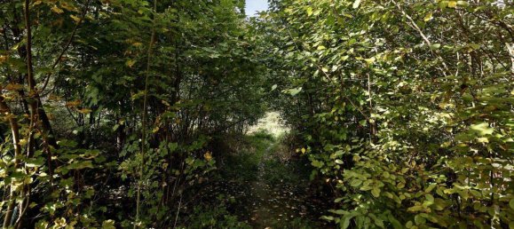 9018m² Land in Pressbaum, Austria No. 238450 18