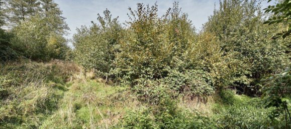 9018m² Land in Pressbaum, Austria No. 238450 13