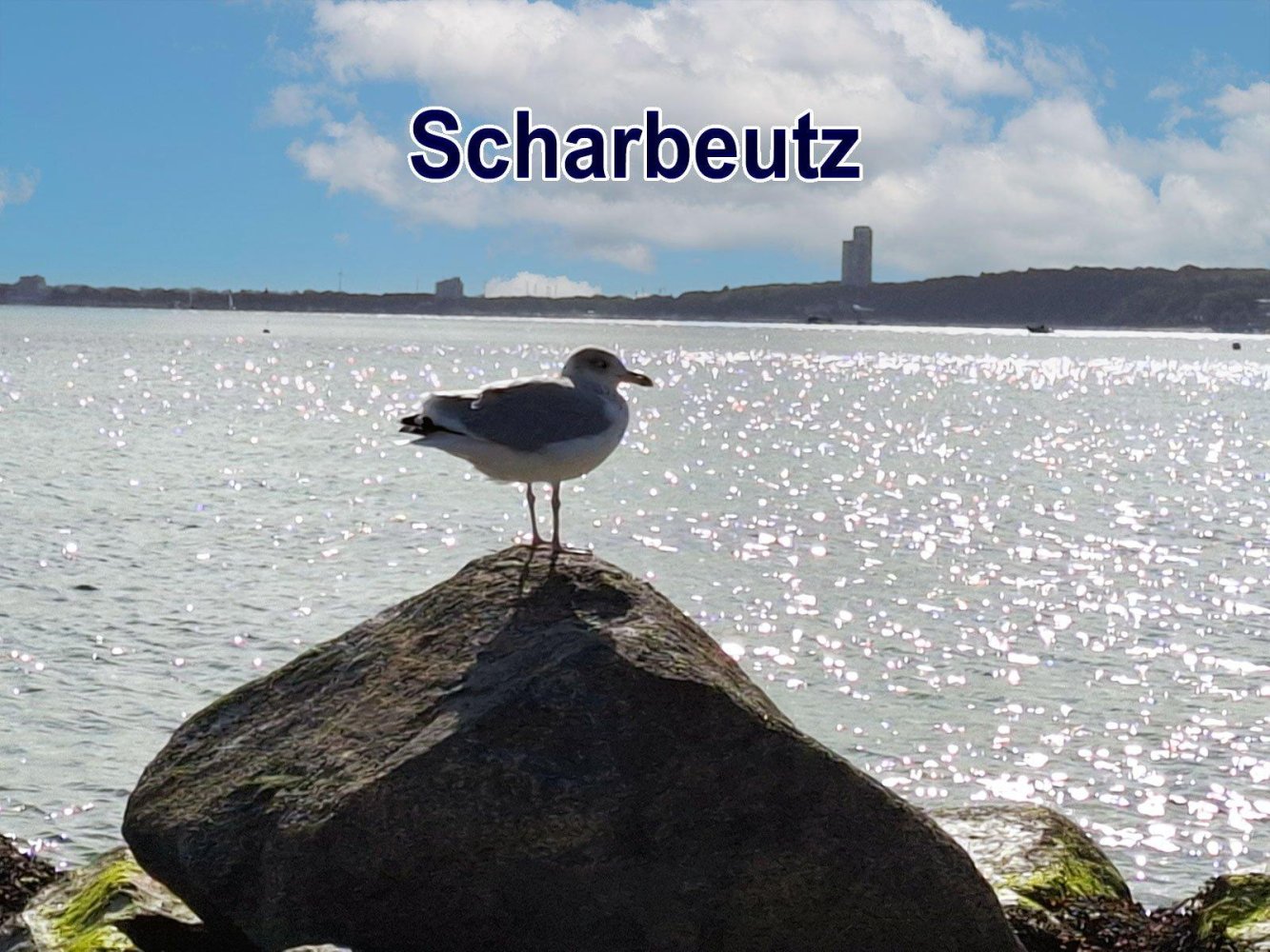 1 غرف نوم شقة في Schleswig-Holstein, Germany رقم 48858