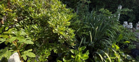 3 Schlafzimmer Stadthaus in Frankfurt am Main, Germany, Nr. 366282 3