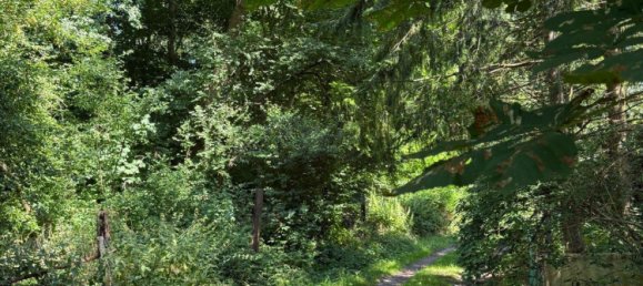 3 Schlafzimmer Stadthaus in Frankfurt am Main, Germany, Nr. 366282 7