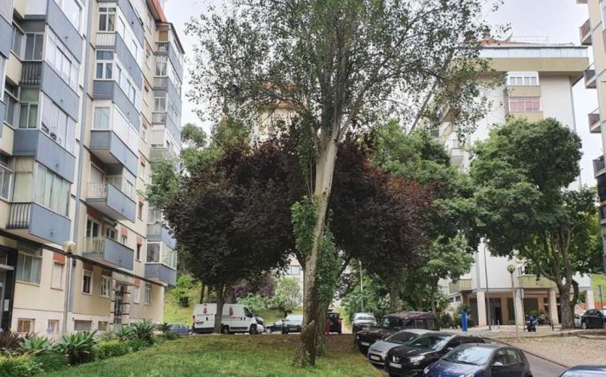 3 Schlafzimmer Wohnung in Lisbon, Portugal, Nr. 4294