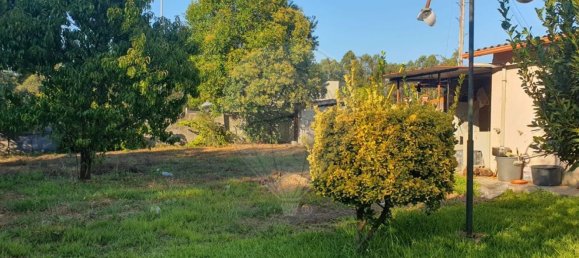 4 chambres Maison à Roriz, Portugal No. 38566 8