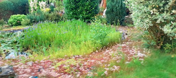 Таунхаус с 3 спальнями в Шаумбург, Германия № 308960 3