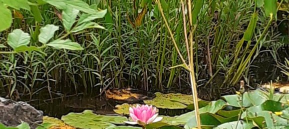 Таунхаус с 3 спальнями в Шаумбург, Германия № 308960 10