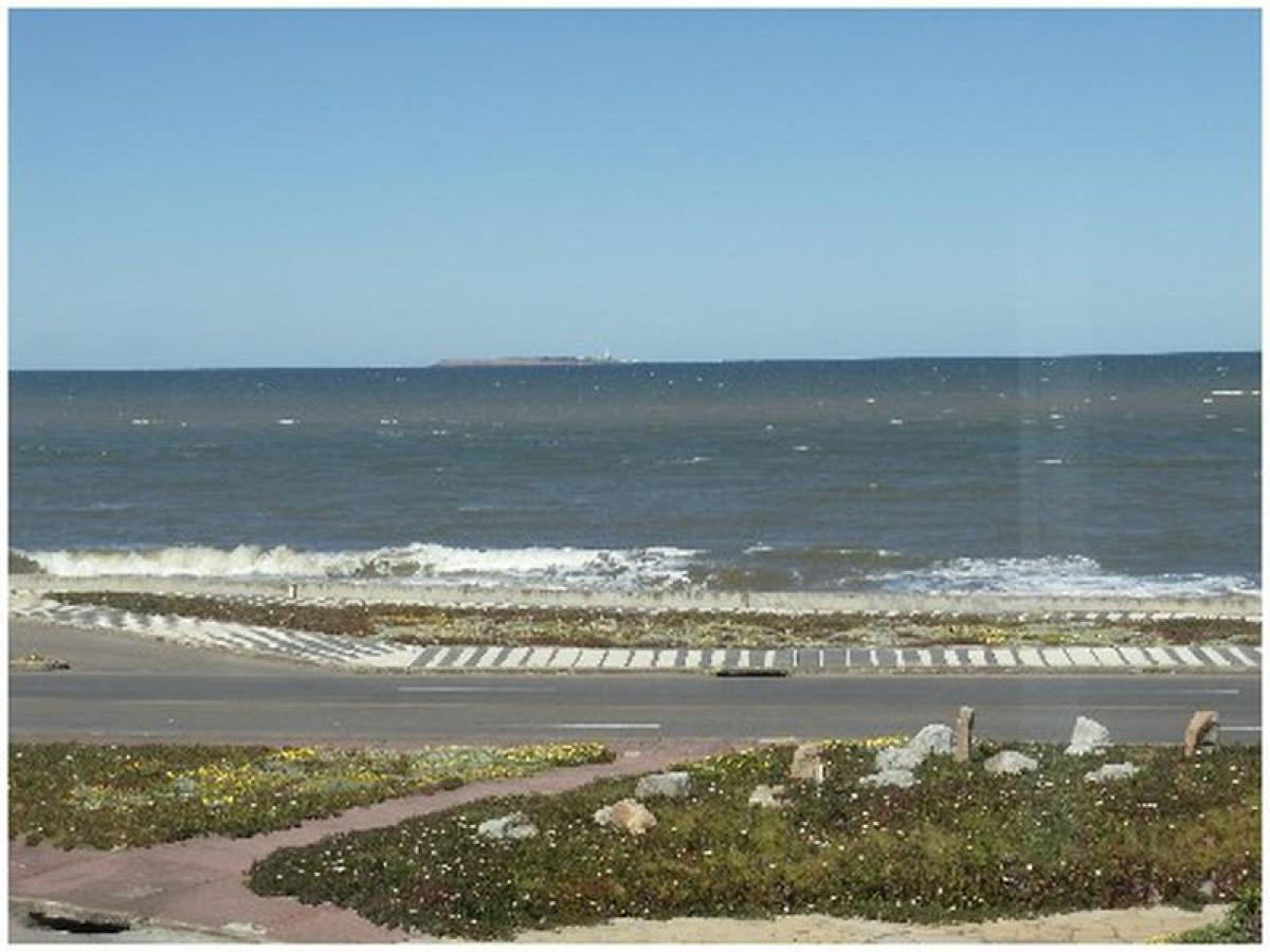 3 bedrooms House in Maldonado, Uruguay No. 3618