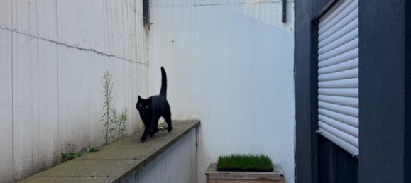 Apartamento T1 em Darmstadt-Dieburg, Germany N.º 333845 12