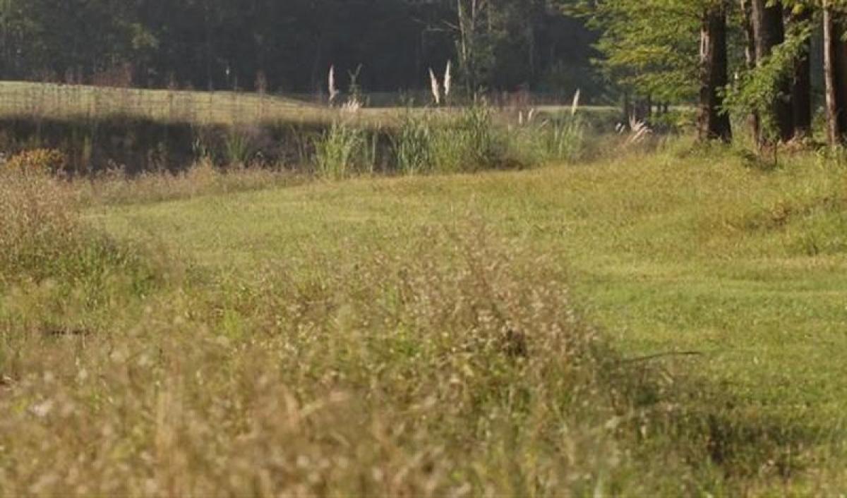  قطعة أرض في Pilar, Argentina رقم 31040