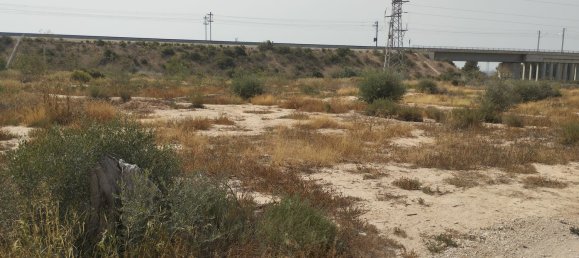 Terreno en El Realengo, Spain No. 160956 3