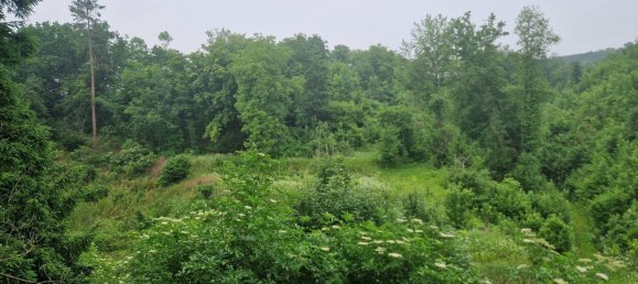 Дом с 5 комнатами в Лангенлойс, Австрия № 165760 8