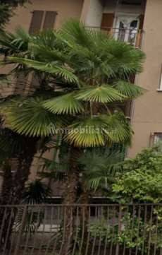 Квартира с 1 спальней в Леньяно, Италия № 310234