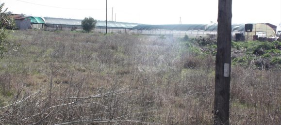 8880m² Hotel in Chalkidiki, Greece No. 7968 3