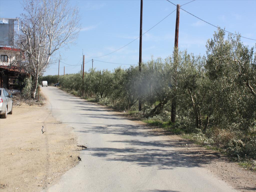  فندق في Chalkidiki, Greece 8880متر مربع رقم 7968