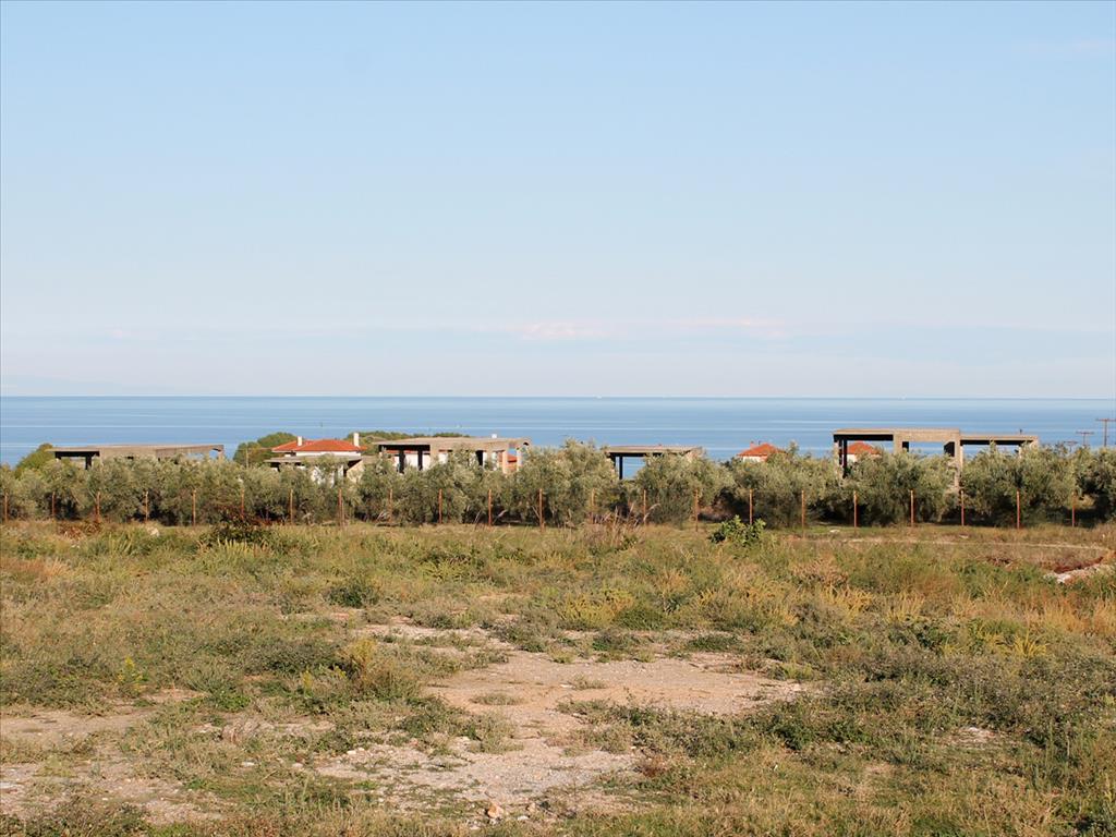 1100m² Property in Pieria, Greece No. 5894