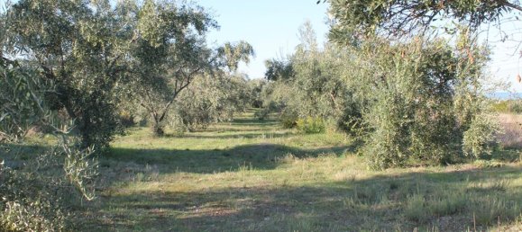 1100m² Property in Pieria, Greece No. 5894 8