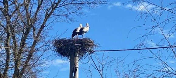 Таунхаус с 3 спальнями в Ландсберг ам Лех, Германия № 230603 29