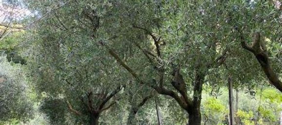 6 rooms House in Bertinoro, Italy No. 71015 36