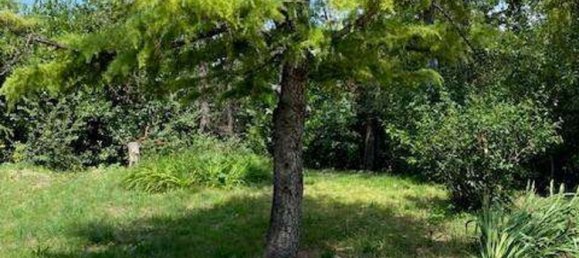 6 rooms House in Bertinoro, Italy No. 71015 44