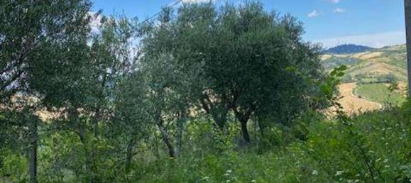 6 rooms House in Bertinoro, Italy No. 71015 29