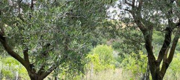 6 rooms House in Bertinoro, Italy No. 71015 37