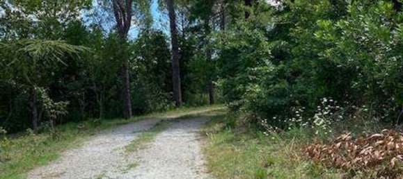 6 rooms House in Bertinoro, Italy No. 71015 42