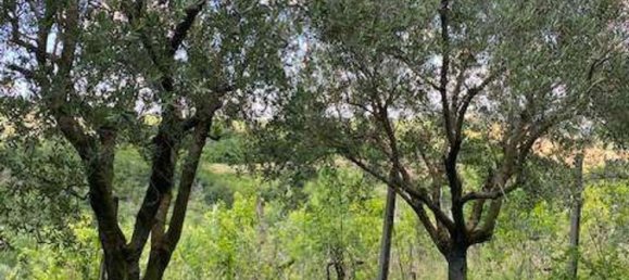 6 rooms House in Bertinoro, Italy No. 71015 38