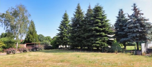 Grundstück in Magdeburg, Germany, Nr. 15242 4