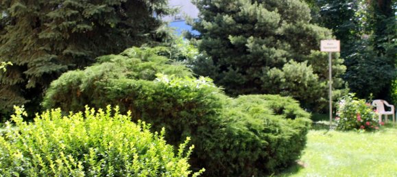 2غرفة شقة في Lend, Austria رقم 26689 11