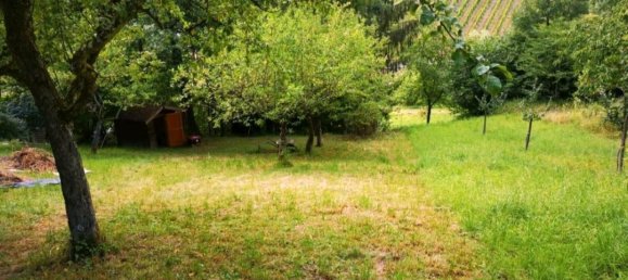 Terrain à Rems-Murr-Kreis, Germany No. 359771 5