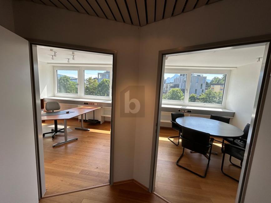 6-Zimmer Gewerbliche Immobilie in Salzburg, Austria, Nr. 226874