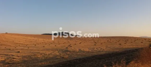 8 غرف نوم منزل في Antequera, Spain رقم 45073 9