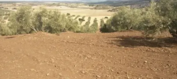 8 غرف نوم منزل في Antequera, Spain رقم 45073 8