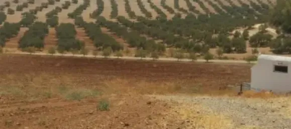 8 غرف نوم منزل في Antequera, Spain رقم 45073 5