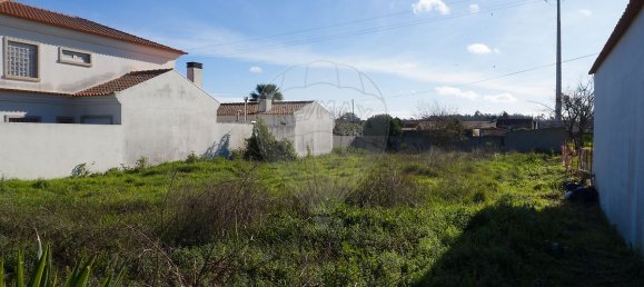 Land in Aveiro, Portugal No. 30074 6