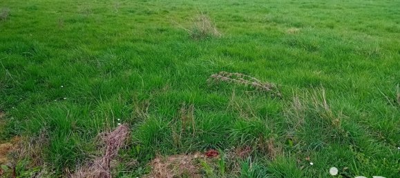 Land in Neris-les-Bains, France No. 59013 3