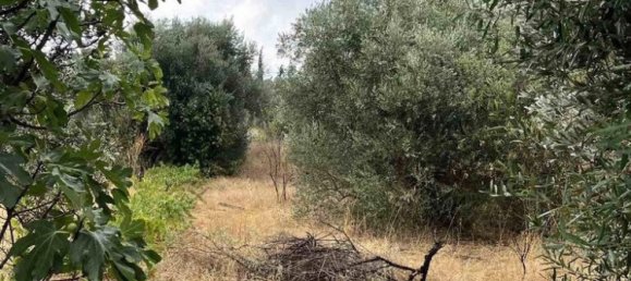 Hôtel à Marousi, Greece 650m² No. 2796 2